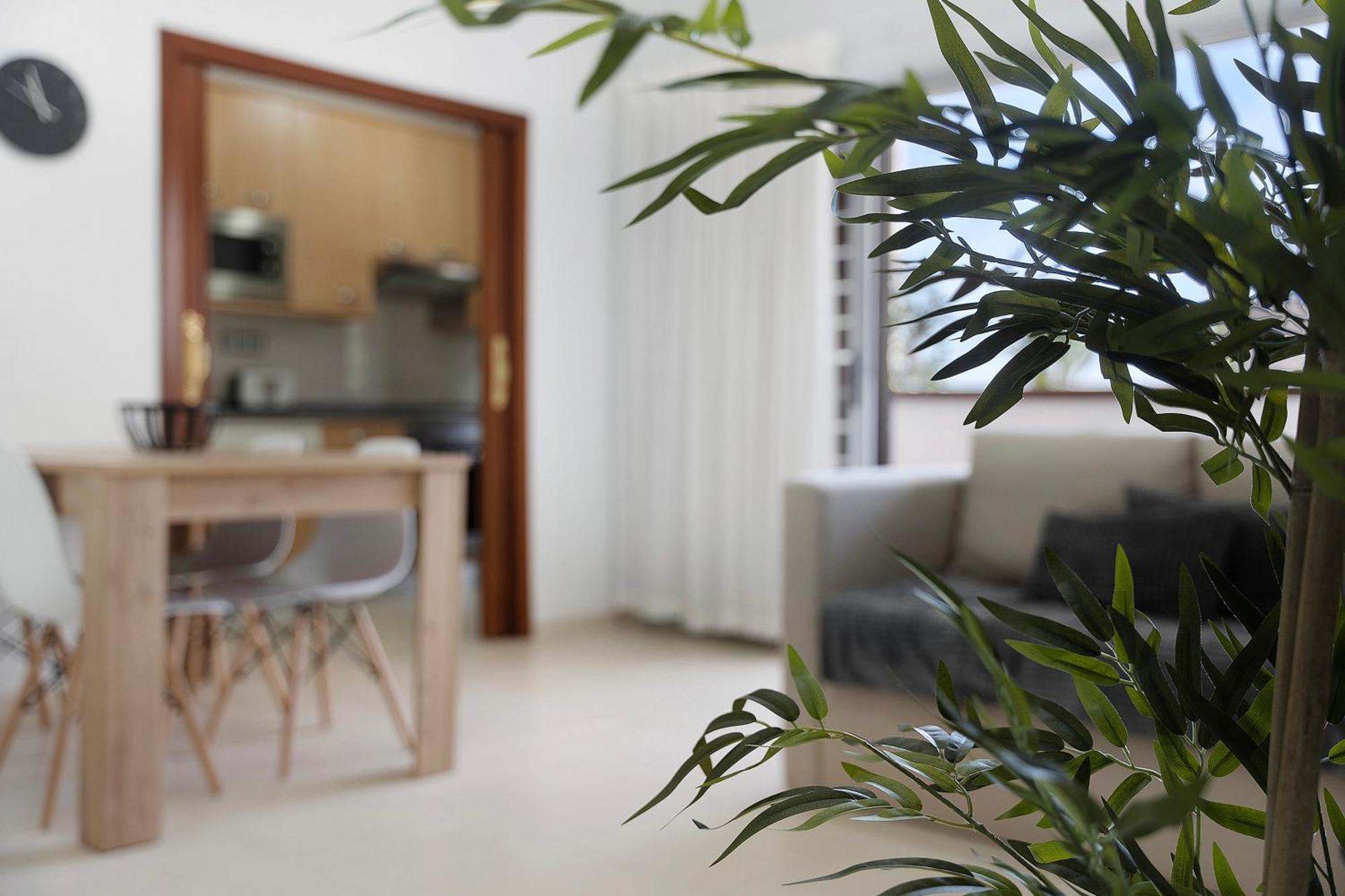 Apartamento Opuntia La Orotava Buitenkant foto